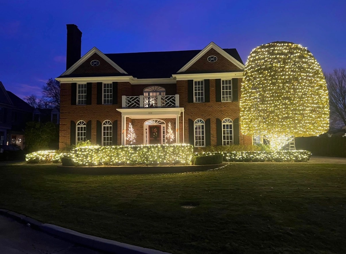 A tree and shrubs covered in warm white lights beside a brick home